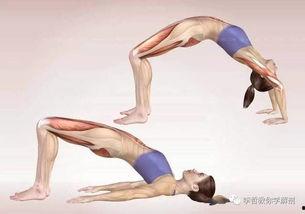 成人骨头拉伸视频,轻松解锁骨骼健康新境界  第1张