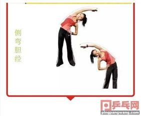 成人骨头拉伸视频,轻松解锁骨骼健康新境界  第3张