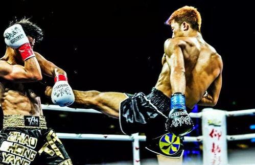 劲道成人搏击比赛视频直播,直击成人搏击比赛精彩瞬间  第2张