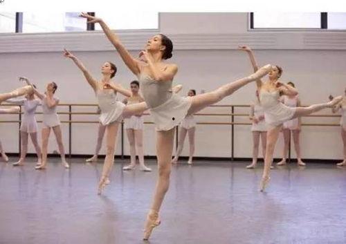 上学歌舞蹈教学视频成人,跟随上学歌舞蹈教学视频迈向舞蹈人生  第2张