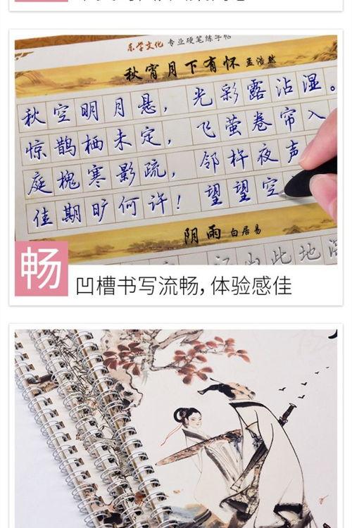 练字帖成人行书制作视频,跟随练字帖，轻松掌握成人行书之美  第3张