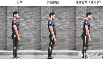 成人锻炼驼背操视频,跟随驼背操视频重塑挺拔身姿  第1张