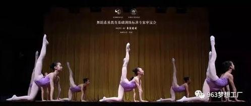 有位姑娘成人舞蹈视频,一位姑娘成人舞蹈风采展示  第1张